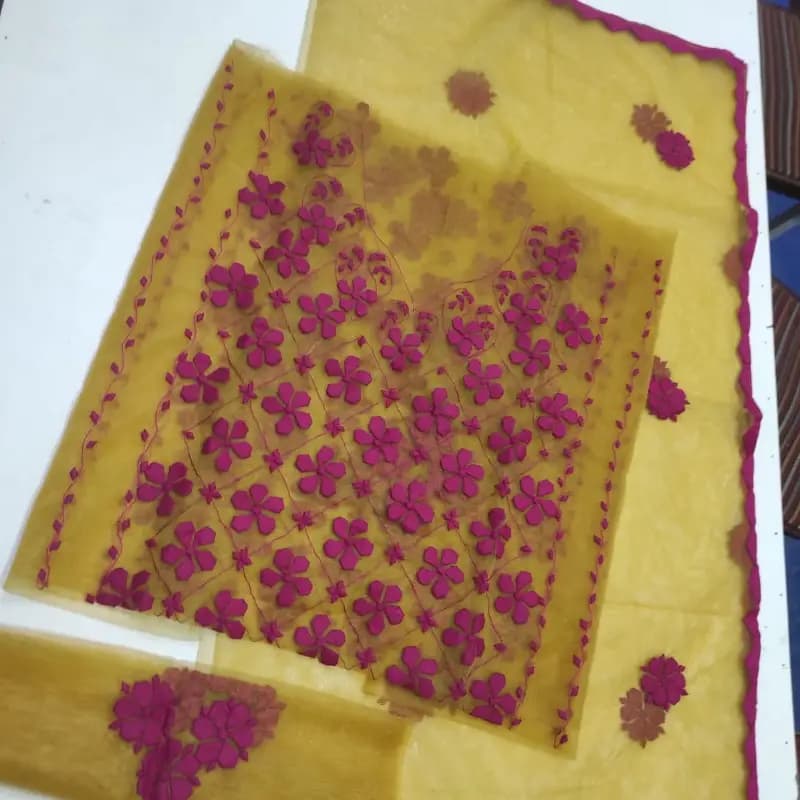 Aura-Almora 2Pc Hand Applique Work Suit  Soft Breeze Net Shirt & Dupatta | Elegant Party Wear for Women